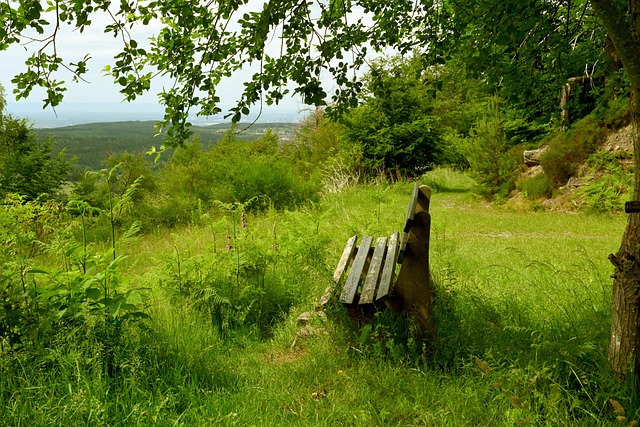 遗憾离场 遗憾离场