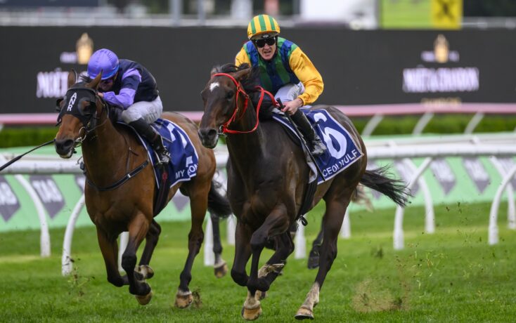 証明了自己 証明了自己